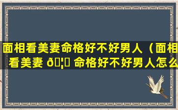 面相看美妻命格好不好男人（面相看美妻 🦅 命格好不好男人怎么看）